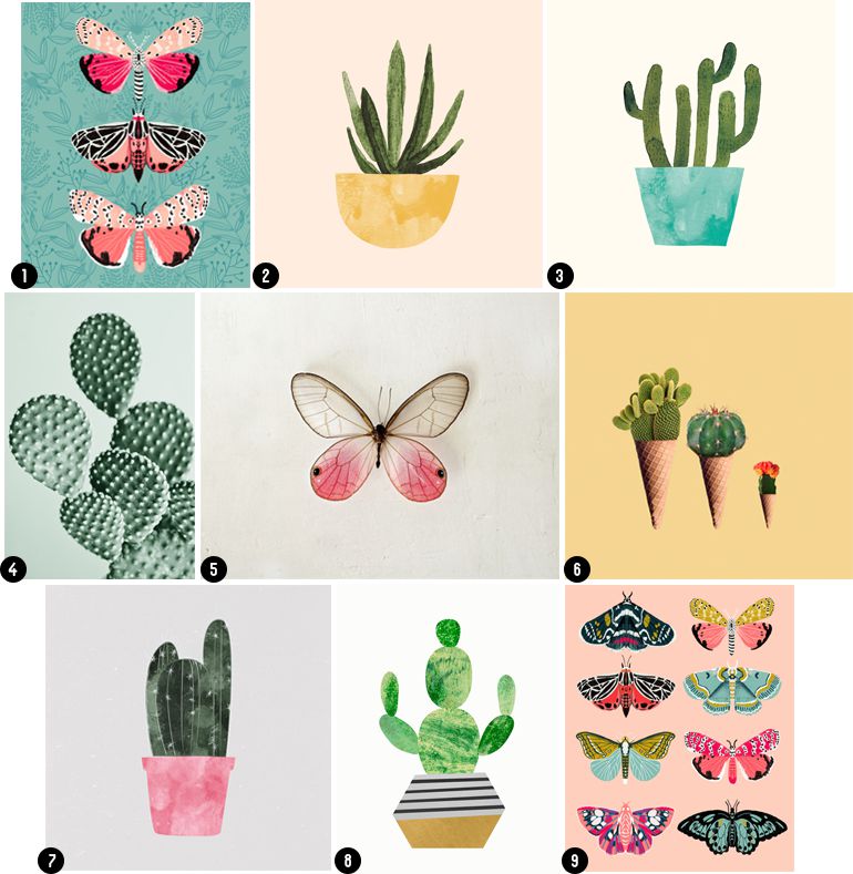 Succulents art prints and butterfly art prints 