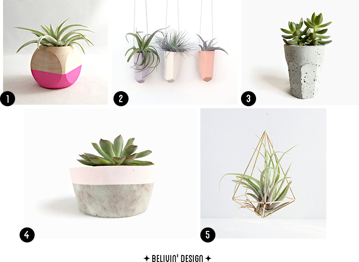 Concrete Planters