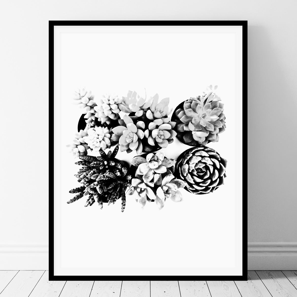 Black and white succulents printable